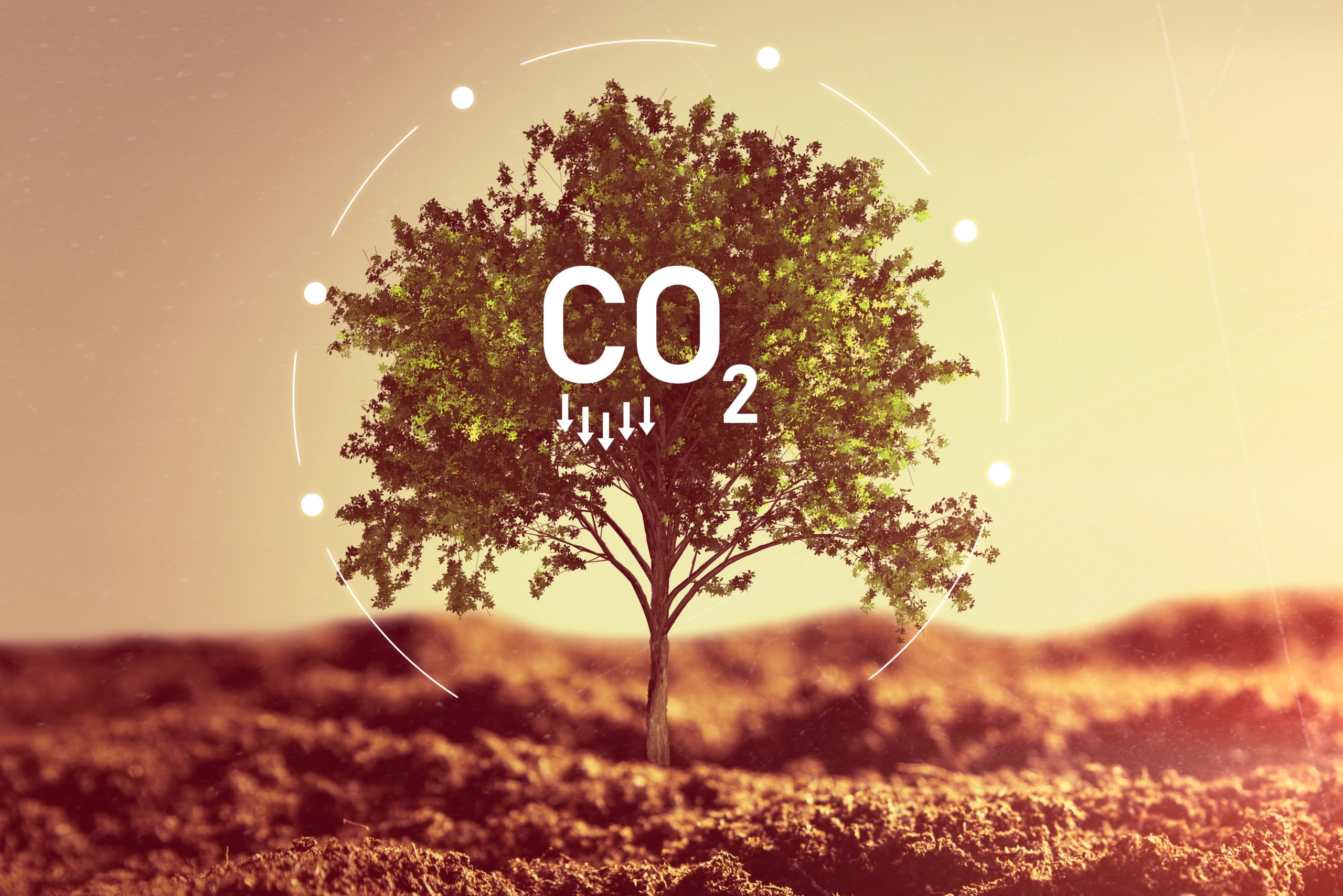 PROTECCIÓN AL MEDIO AMBIENTE